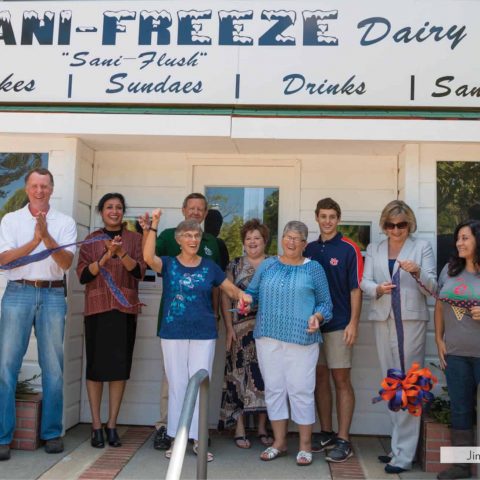 The Sani-Freeze Returns