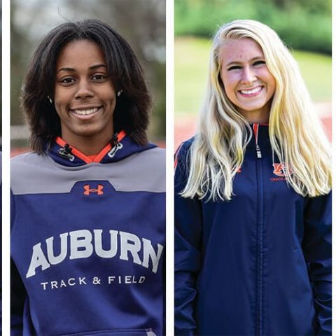 CADC Students Named to the 2015 Spring SEC Academic Honor Roll