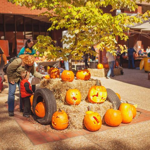 Annual Pumpkin Carve