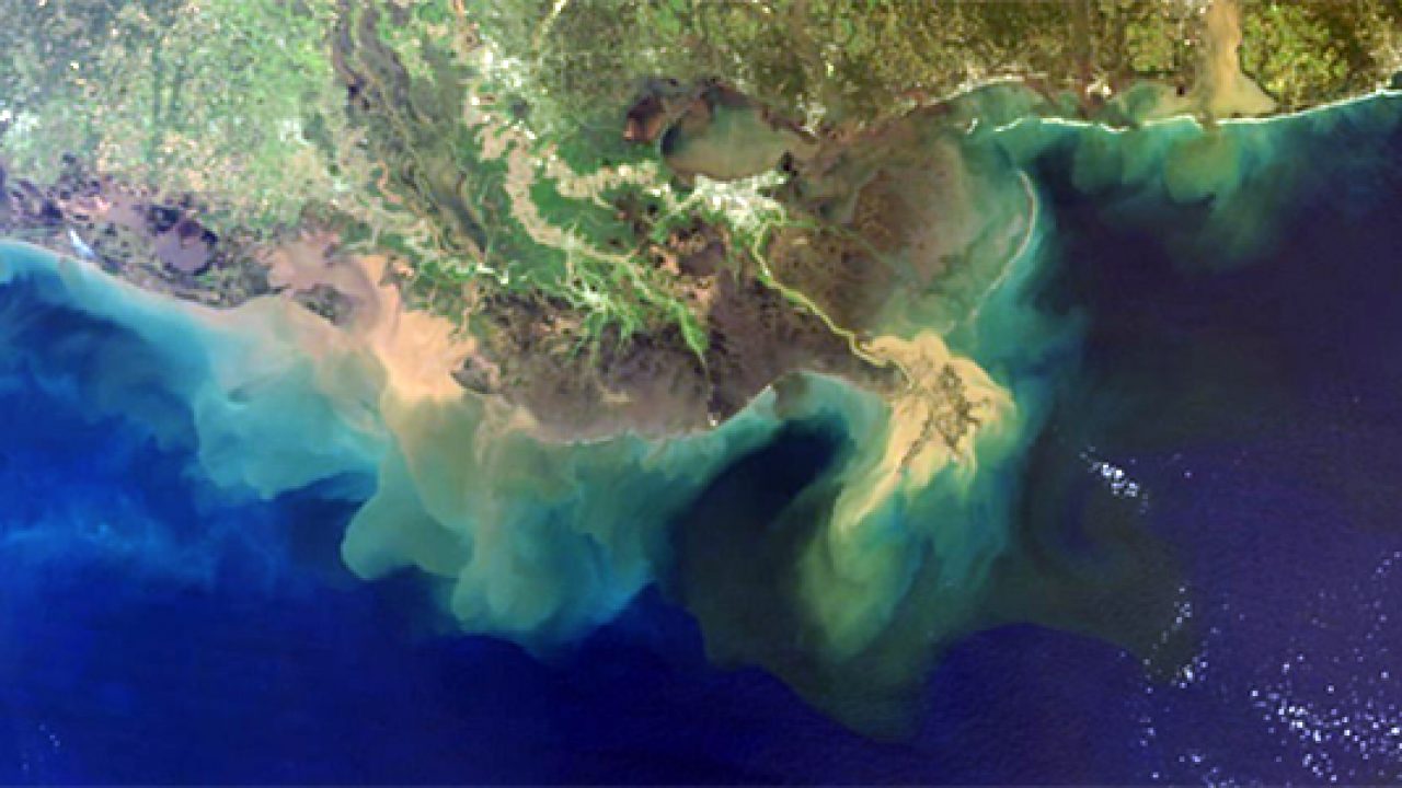 Gulf Coast Mississippi Sea Grant