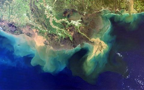 Gulf Coast Mississippi Sea Grant
