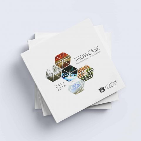 Showcase: The Work of Creative Scholarship