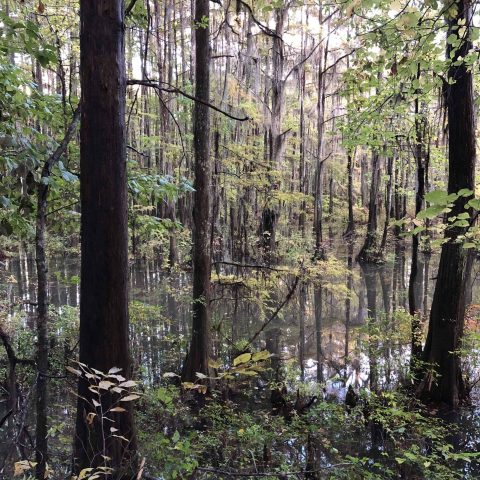 Landscape Architecture Students Field Studies