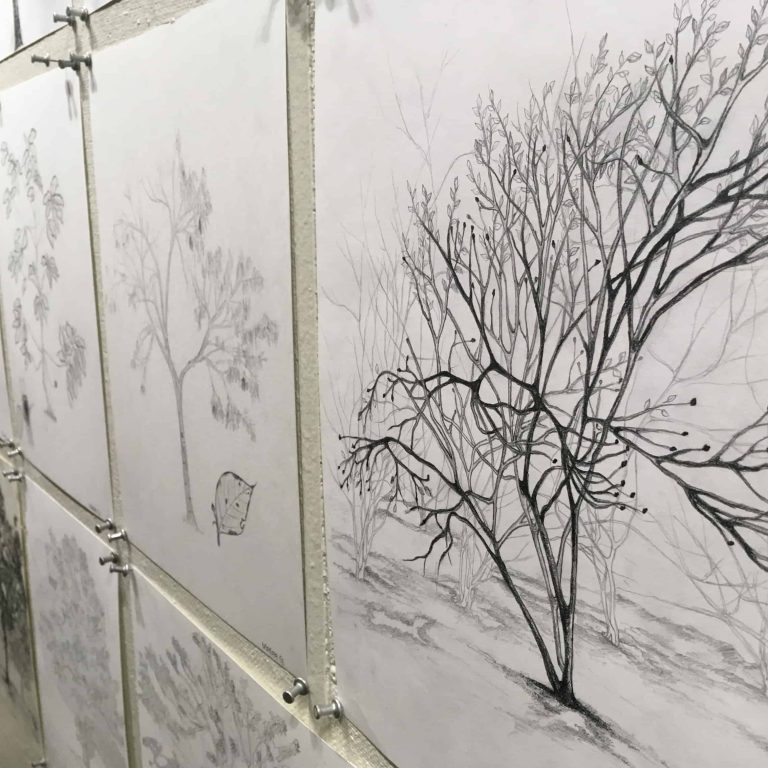 Pencil Drawings of Trees