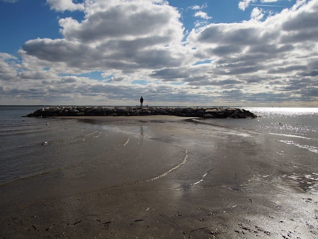 Professor standing atop breakwater during field investigations