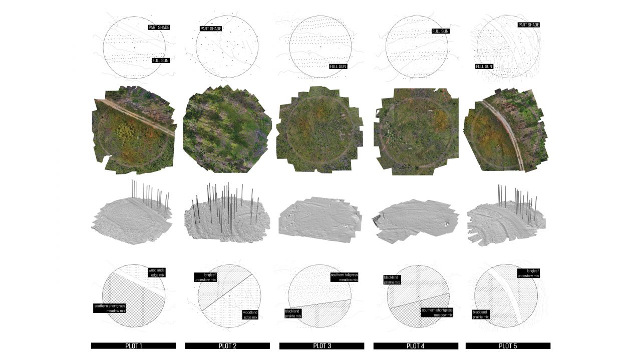 Meadow and Grassland: Experimentation for Preservation by David Hill and Emily Knox