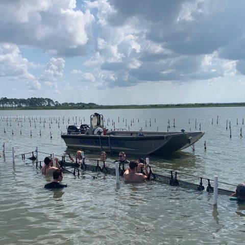 students in water