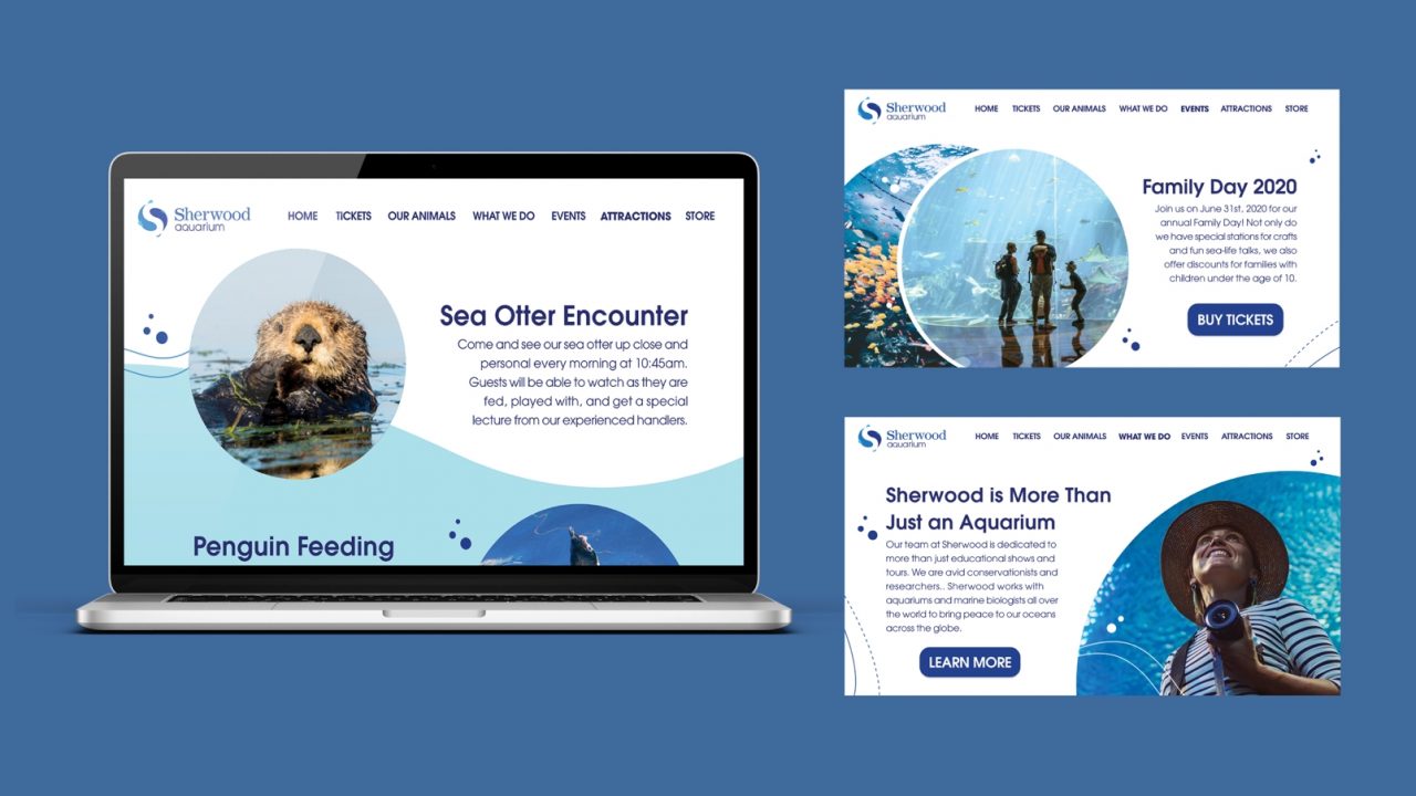 Sarah Stephens: Sherwood Aquarium Website Screens