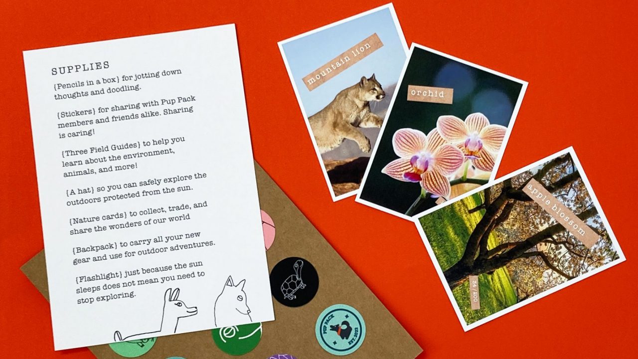 Supply List, Stickers, and Nature Cards, by Rachel Brown