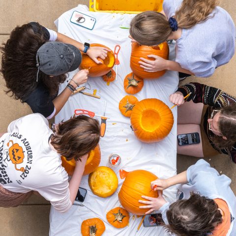 APLA Pumpkin Carve 2022