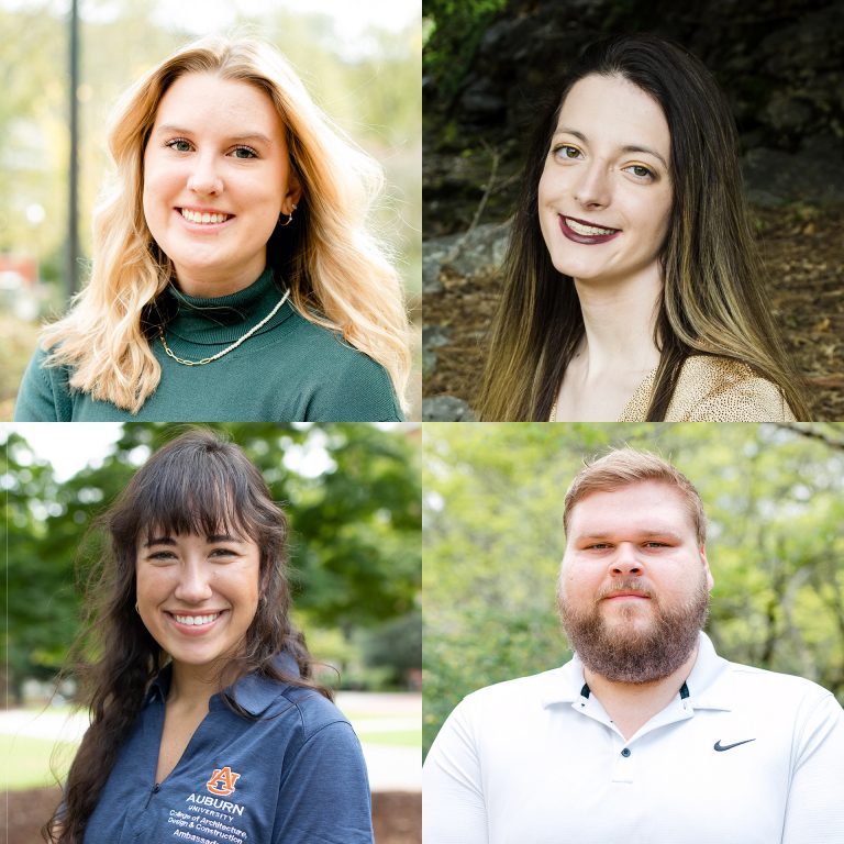 AUBURN UNIVERSITY DESIGN PROGRAM visual data 2