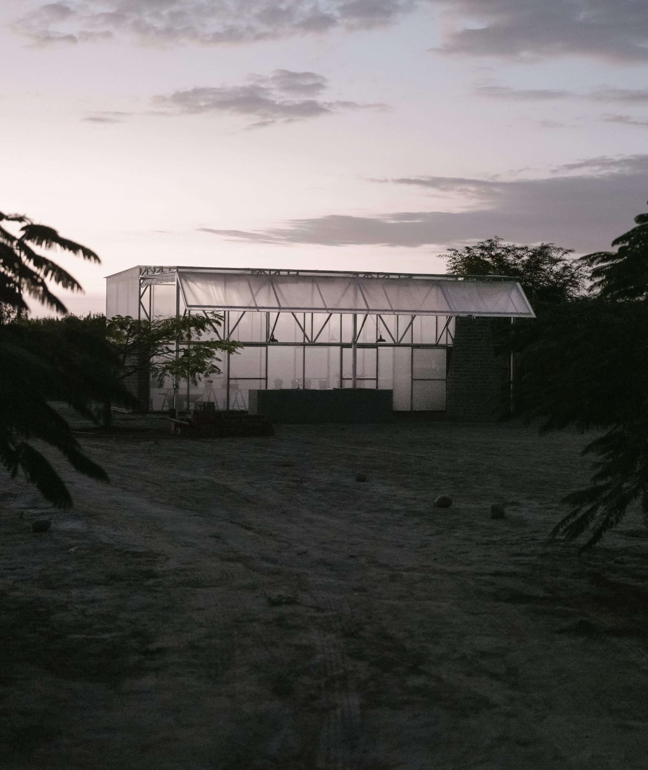 greenhouse_ivansalinero