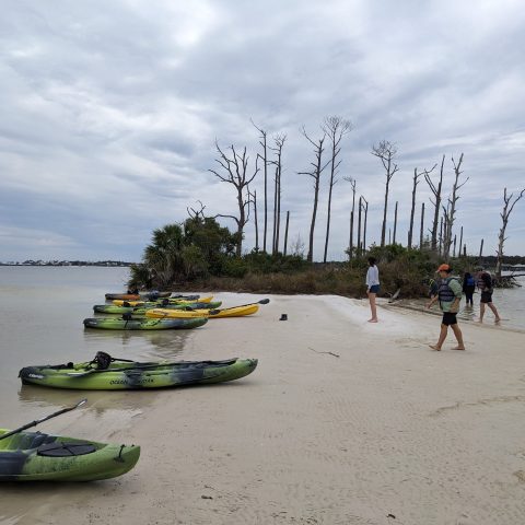 LAND students_Perdido Bay_NASEM
