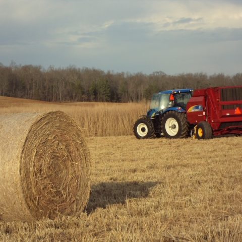 hay bales with a tractor in the background