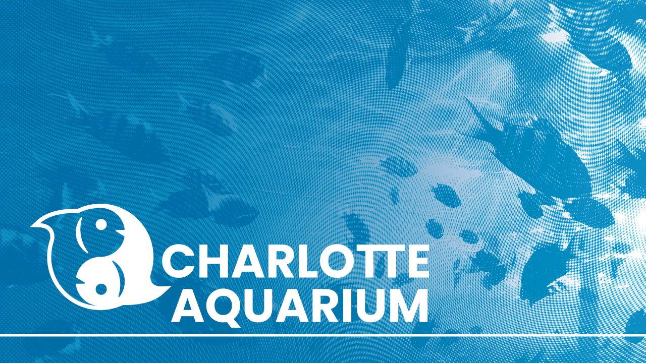 Silhouettes of fish swimming in water with the Charlotte Aquarium logo and name overlaid in bold white text.