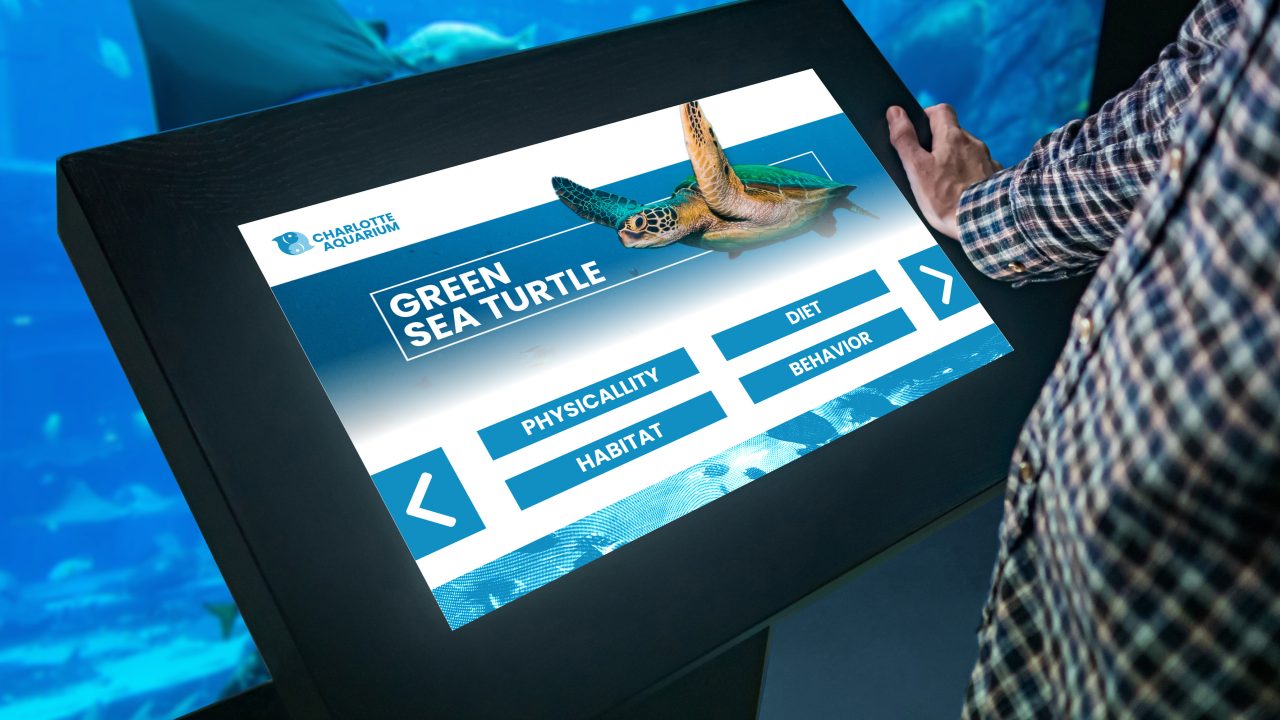 Person using an interactive touchscreen display about green sea turtles at an aquarium, showing options for physicality, diet, habitat, and behavior.