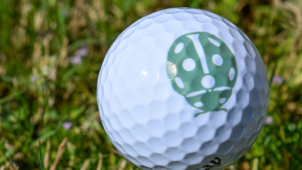 A close-up of a golf ball with a green polka dot design on a wooden tee, set on grass.