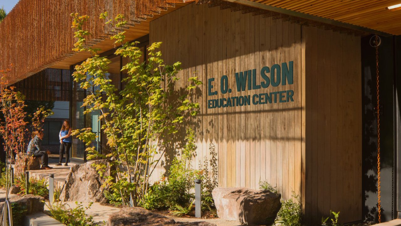 Sample signage for the E.O. Wilson Education Center featuring dark green type on a wooden building wall.