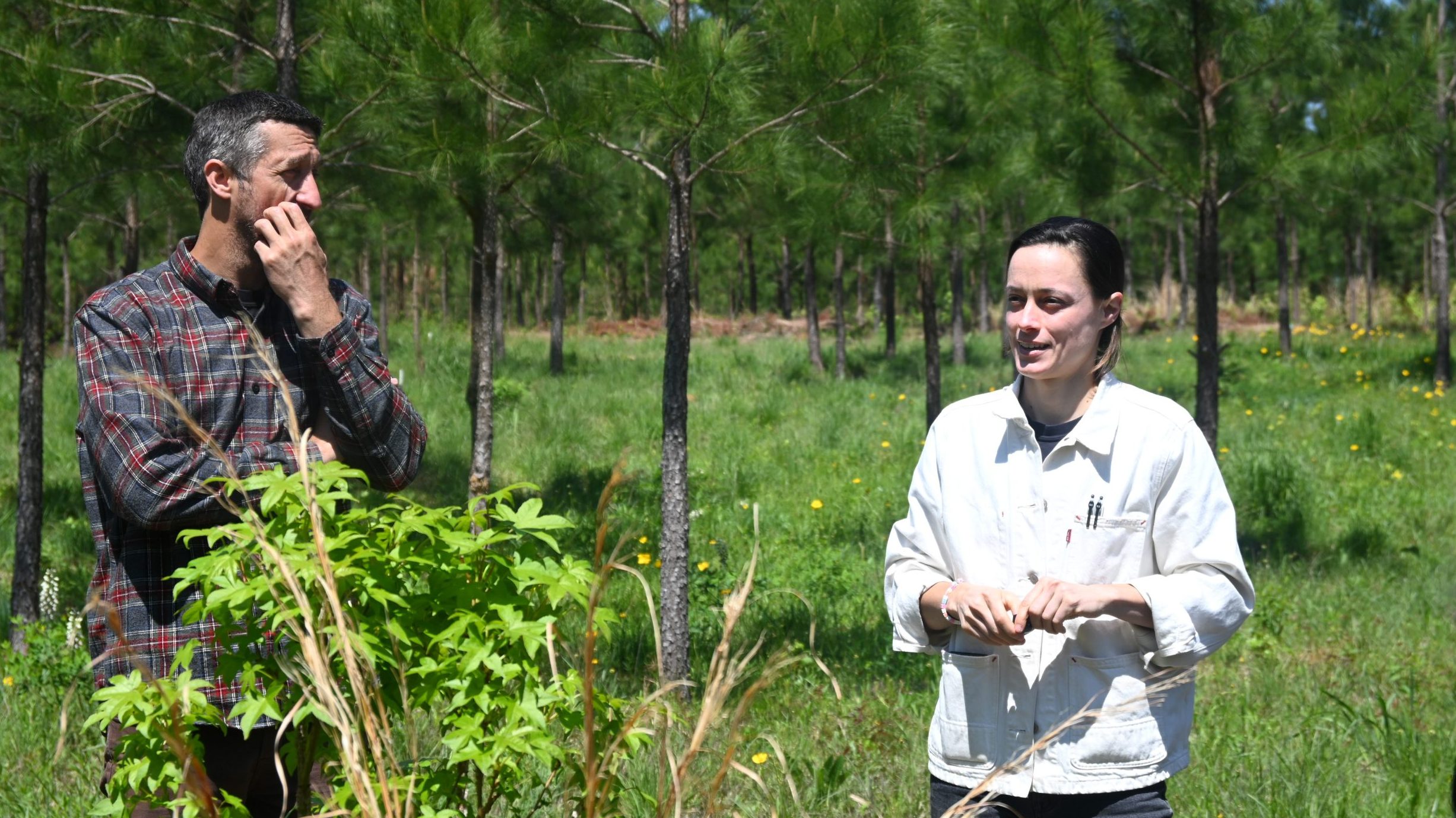 David Hill and Emily Knox led a tour of the Mary Olive Thomas Demonstration Forest on Saturday