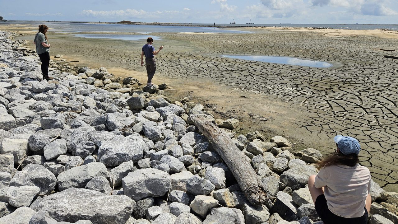 The Gulf Coast has a wealth of opportunities for designers.