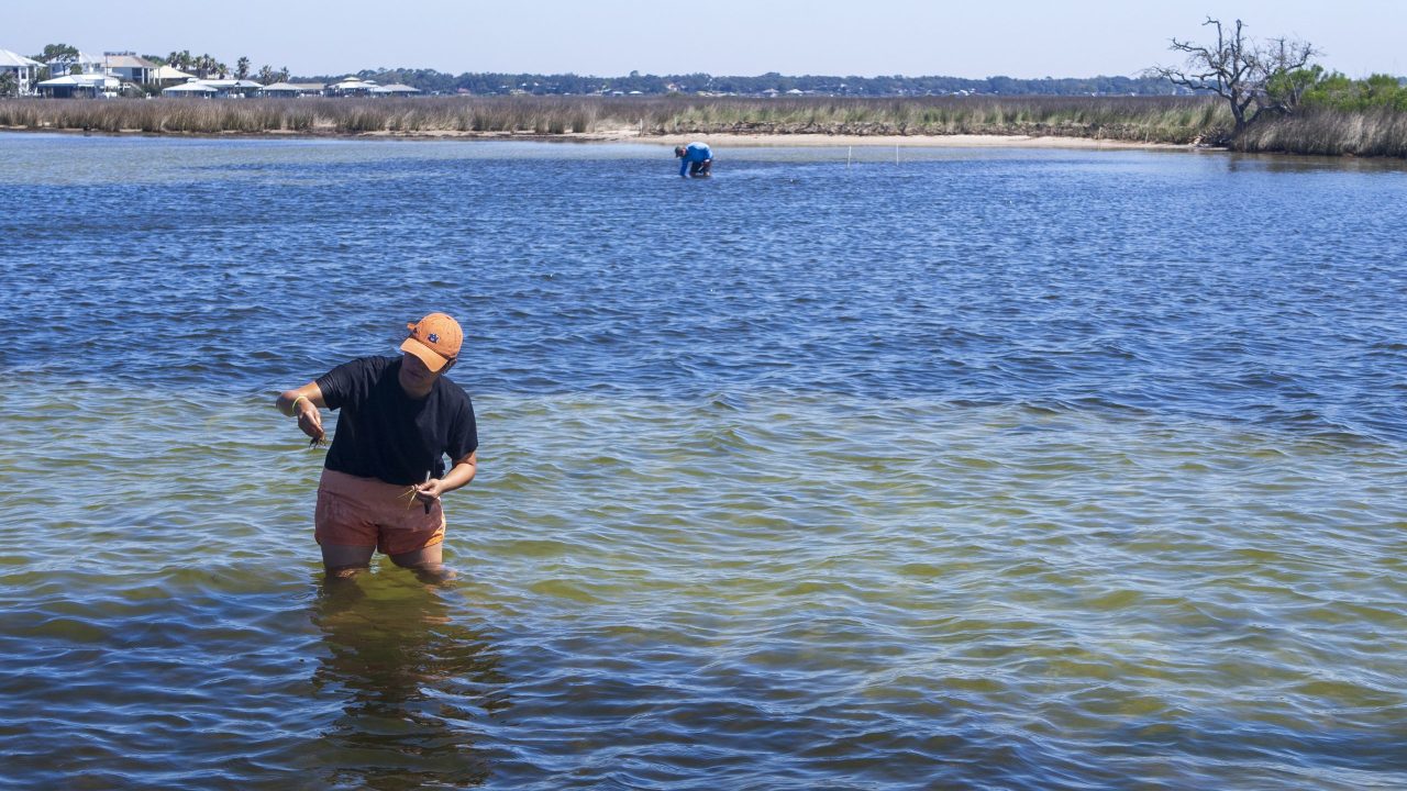 Gulf Coast Research for the The Gulf Futures Challenge