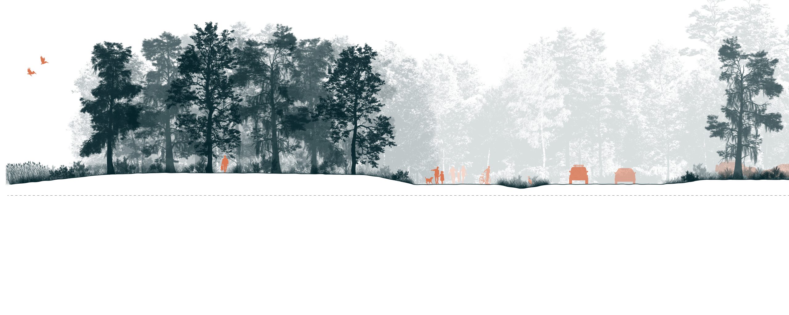 The sections allow the team members to see how a few inches of sea water rise changes the coastal environments. 