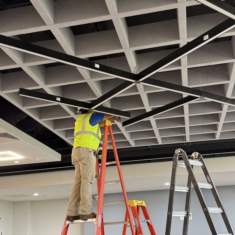 Thalamus recently contributed to the BSCI program’s new Brasfield & Gorrie Thesis Lab.