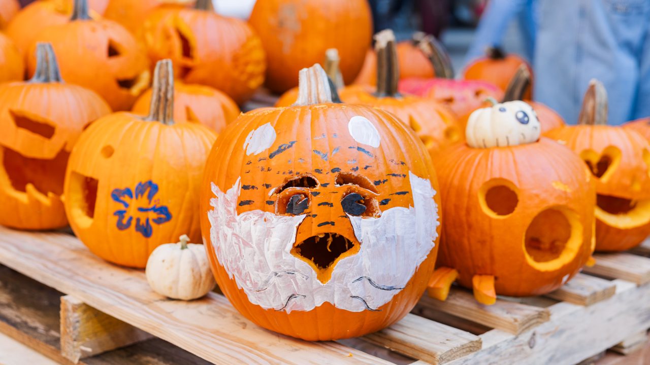 Several carved pumpkins sit on wooden pallets, including one painted with a tiger face and others with various shapes and designs.