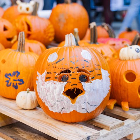 Several carved pumpkins sit on wooden pallets, including one painted with a tiger face and others with various shapes and designs.
