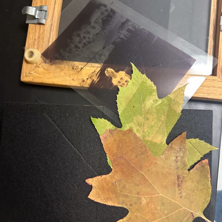 A photo negative and a large autumn leaf are displayed on a black surface next to a wooden-framed glass panel.