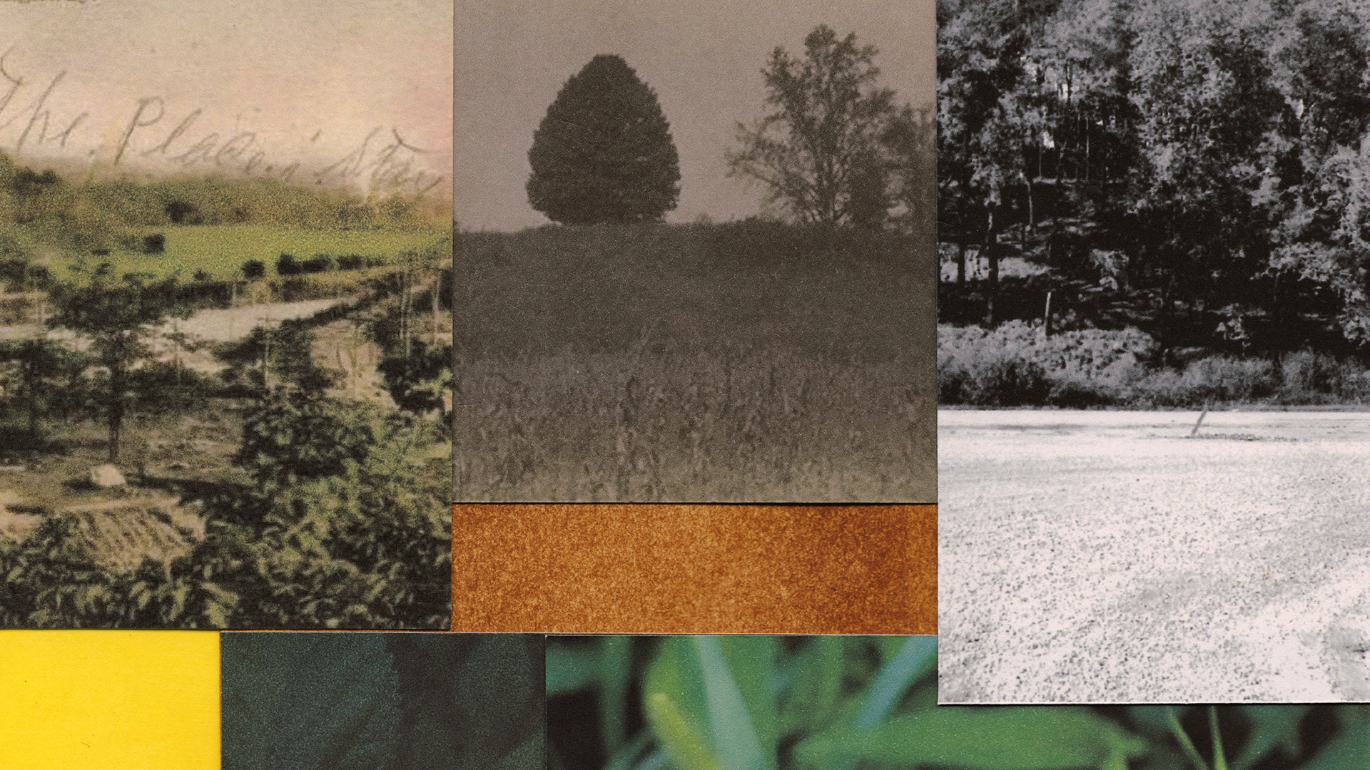 A collage of vintage photos and colored paper by Mario F. Bocanegra Martinez, Assistant Professor of Graphic Design