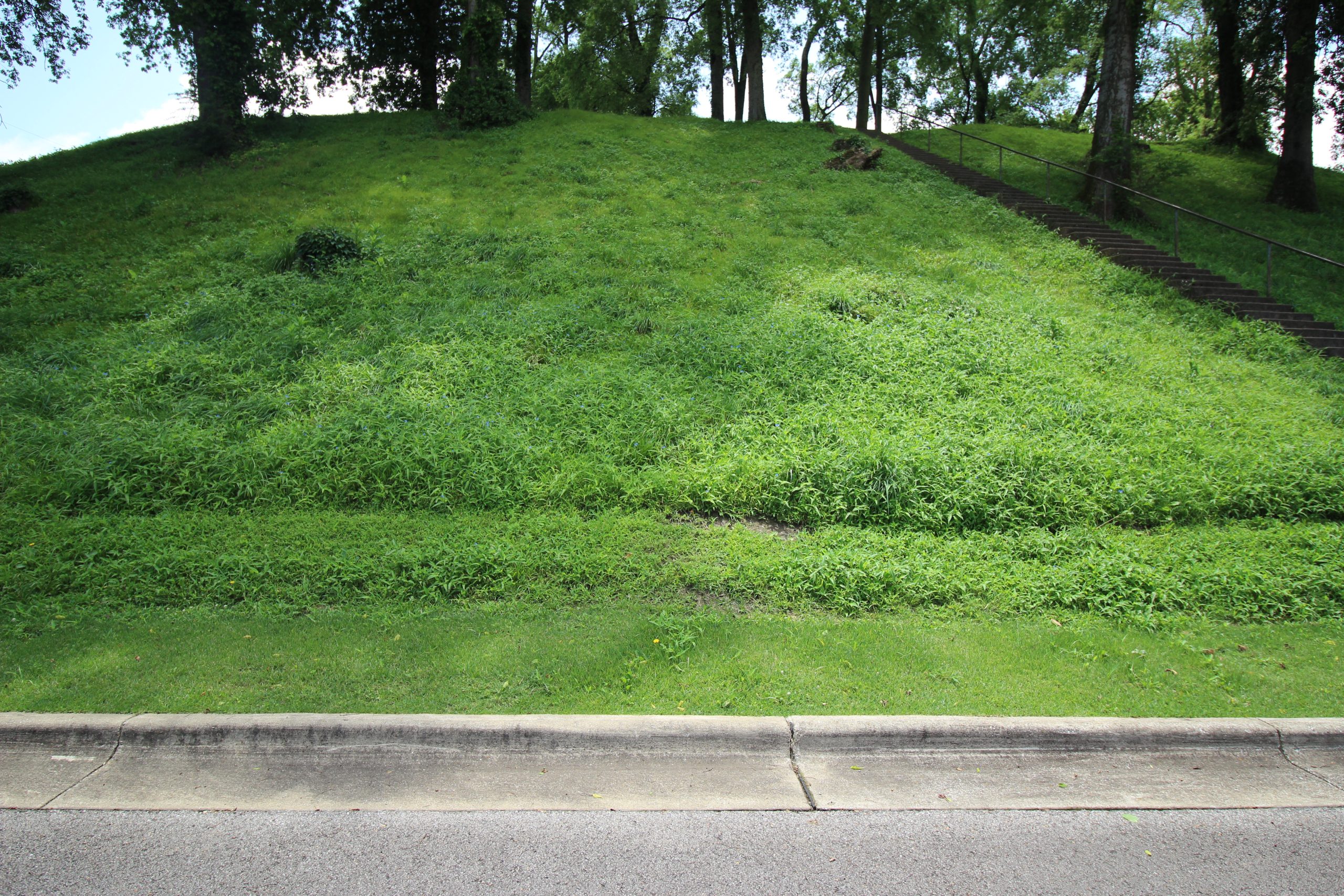 A grassy hillside with a concrete curb at the bottom and a set of stairs with a metal railing ascending on the right side.