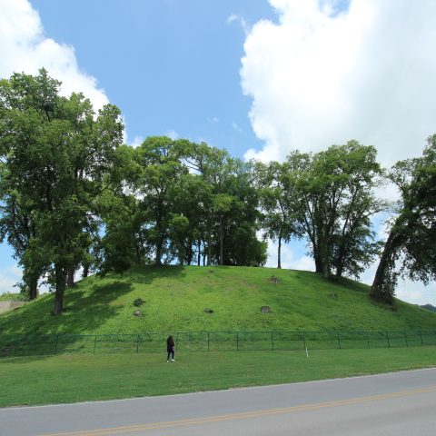 A grassy, tree-covered mound is enclosed by a fence, with a person standing in front and a road running alongside under a partly cloudy sky.