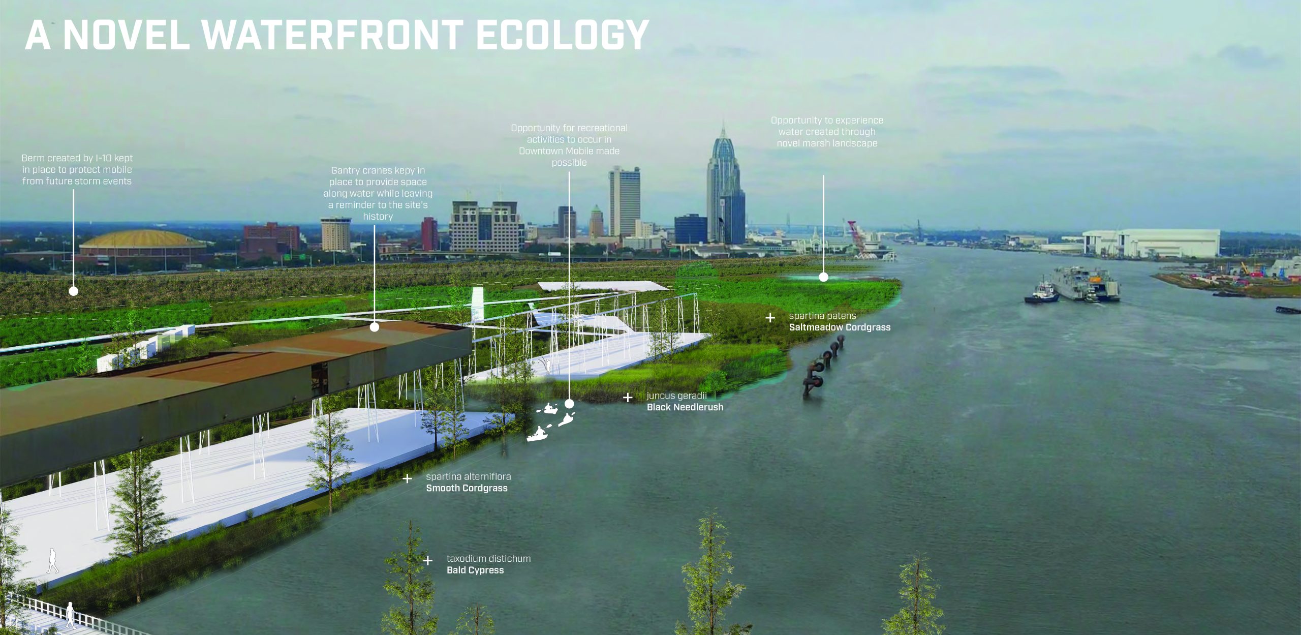 Aerial view of a waterfront urban ecology project with labeled features, including stormwater wetlands, native plants, and city buildings in the background.