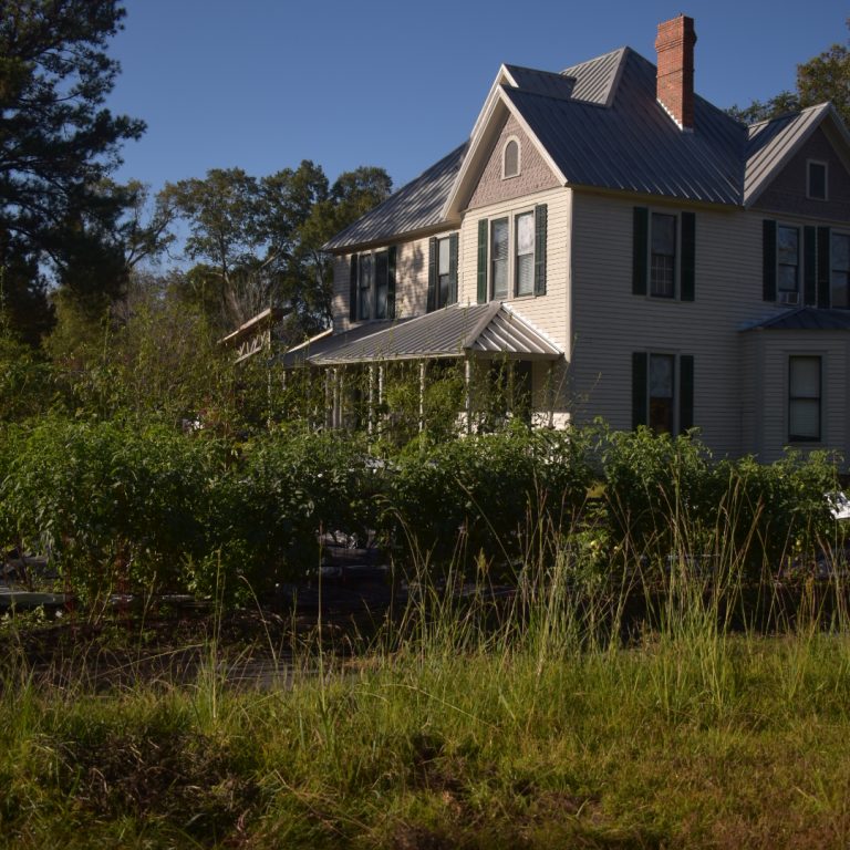 A two-story house with a metal roof and green shutters sits behind bushes and tall grass under a clear blue sky.