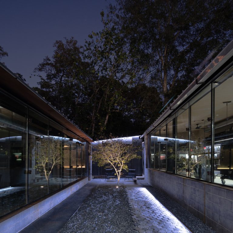 A courtyard with a small tree is illuminated at night, flanked by two modern glass-walled buildings reflecting the scene.