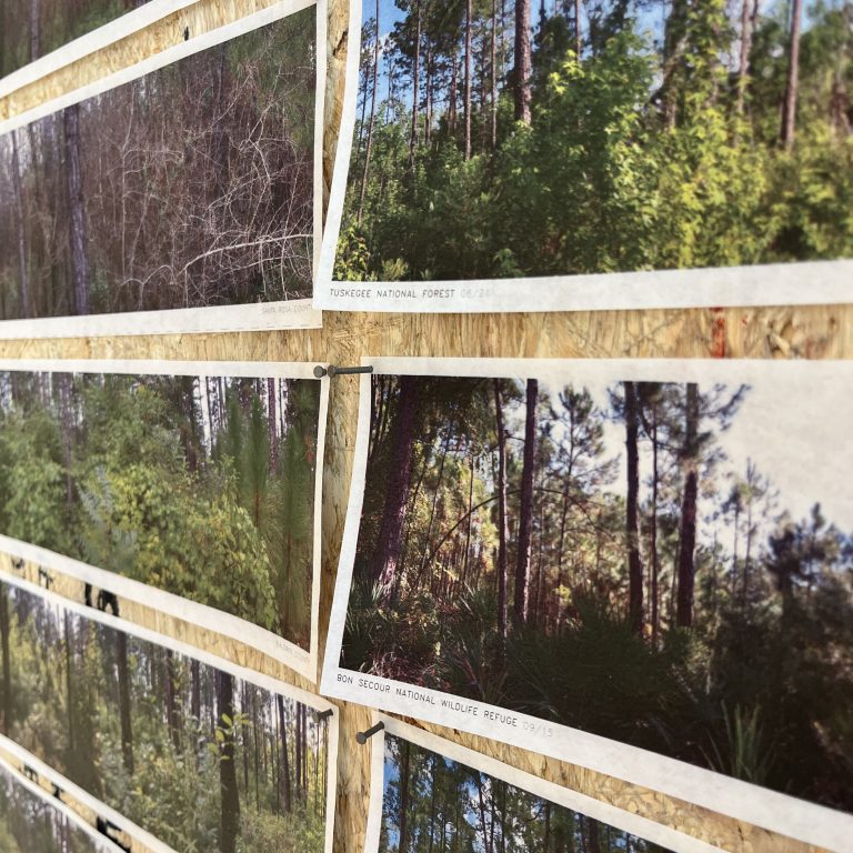 A display board with multiple photographs of forested landscapes, each labeled with locations such as national forests and wildlife refuges.