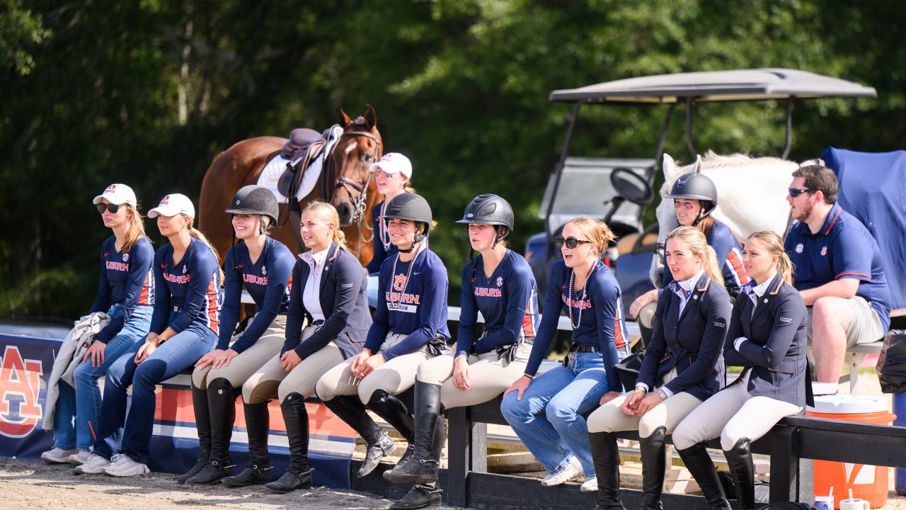 A group of equestrians in riding attire sit on a bench outdoors, with horses, a golf cart, and trees in the background.