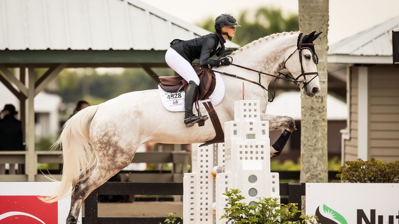 A rider in equestrian gear guides a gray horse over a show jumping obstacle during a competition, with buildings and plants in the background.