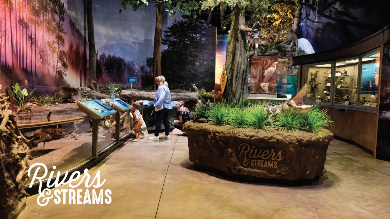 Exhibit room with educational displays about rivers and streams, featuring plants, animal models, and visitors observing the exhibits.