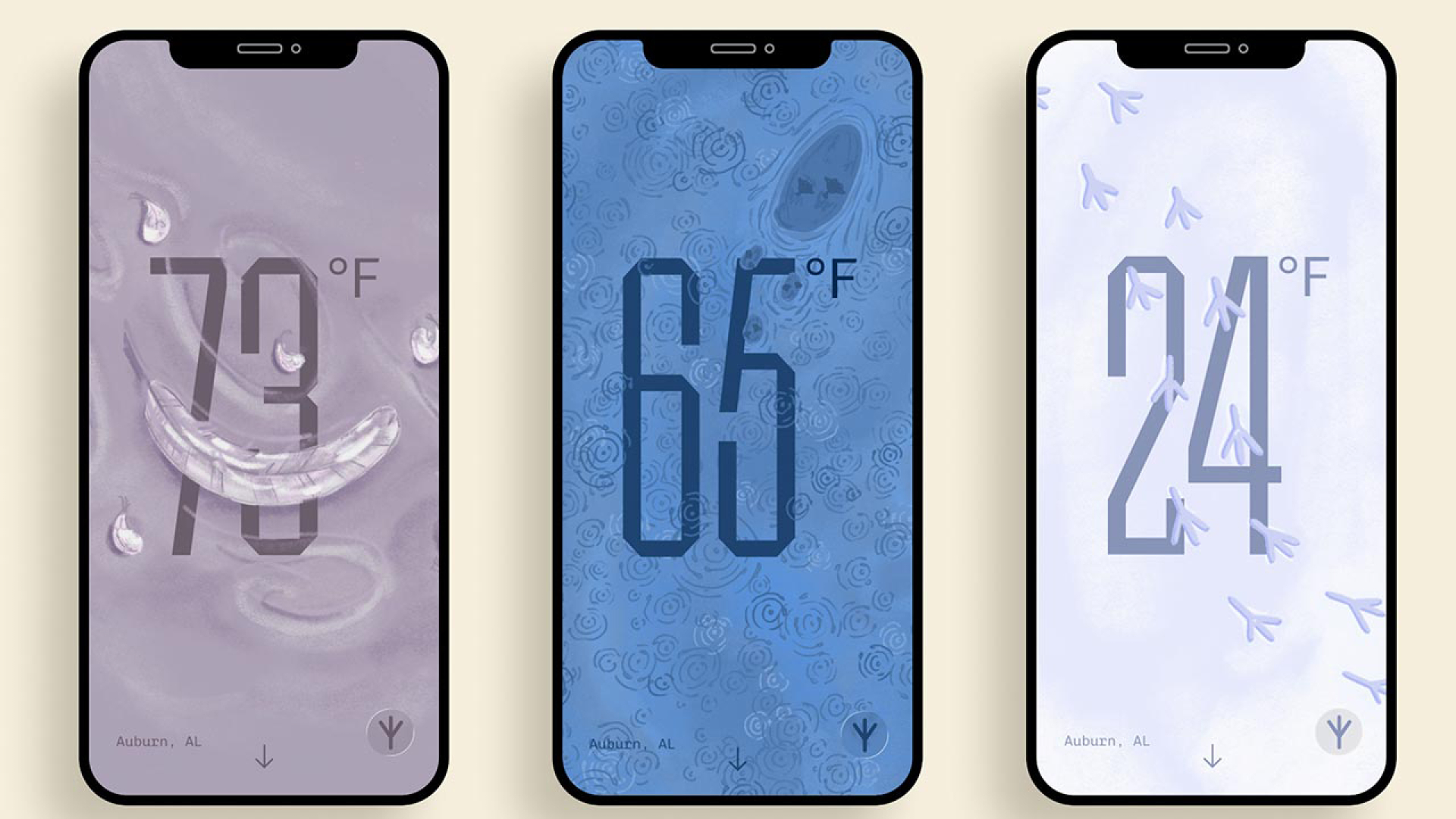 Three smartphones display weather apps with temperatures of 79°F, 65°F, and 24°F; each screen has different background colors and weather icons to indicate varying conditions.