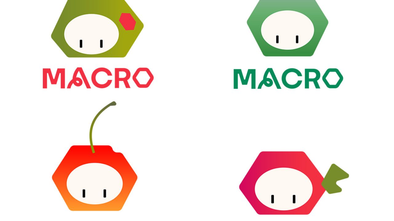Four variations of a MACRO logo feature a hexagonal character with a simple face, each with different colors and additional elements like a leaf, cherry, or geometric shapes.
