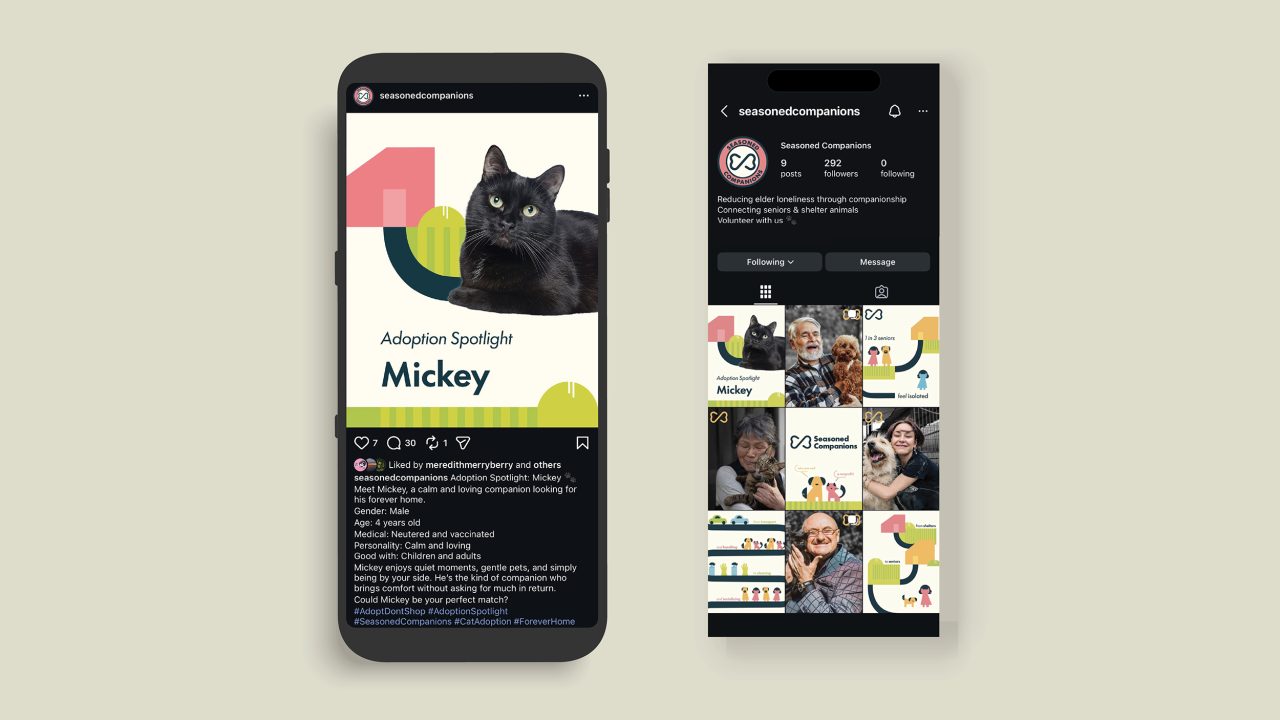 Two smartphones display social media posts from @seasonedcompanions, featuring a cat named Mickey for adoption, and a profile grid with animal and people images.