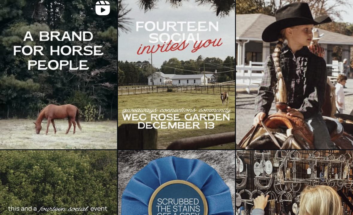 Instagram profile for 14 Social, featuring 9 posts with equestrian and horse-related images, tagline a brand for horse people, and sections for followers, following, and messaging.