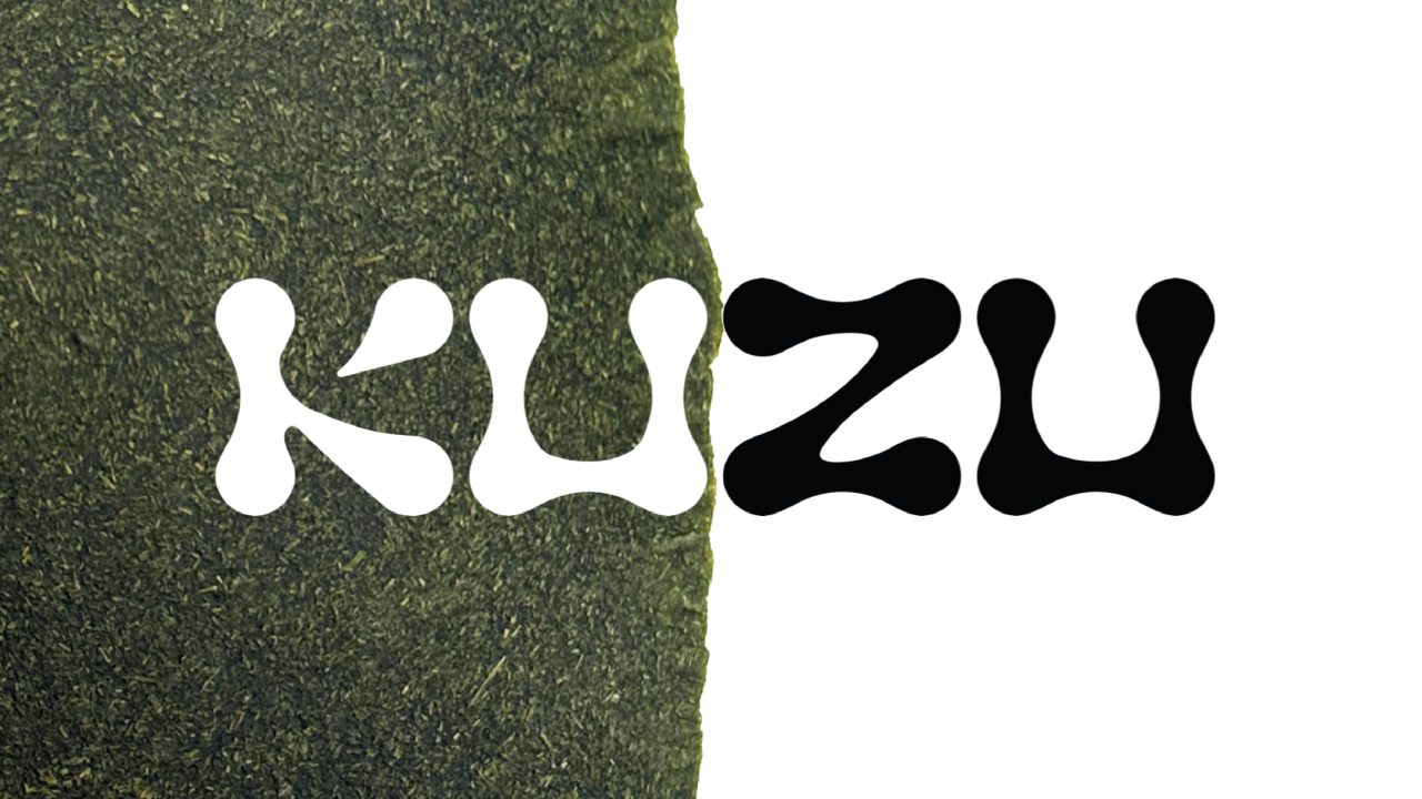 The word KUZU appears in a bold, rounded font, split down the middle with a textured green background on the left and a plain white background on the right.