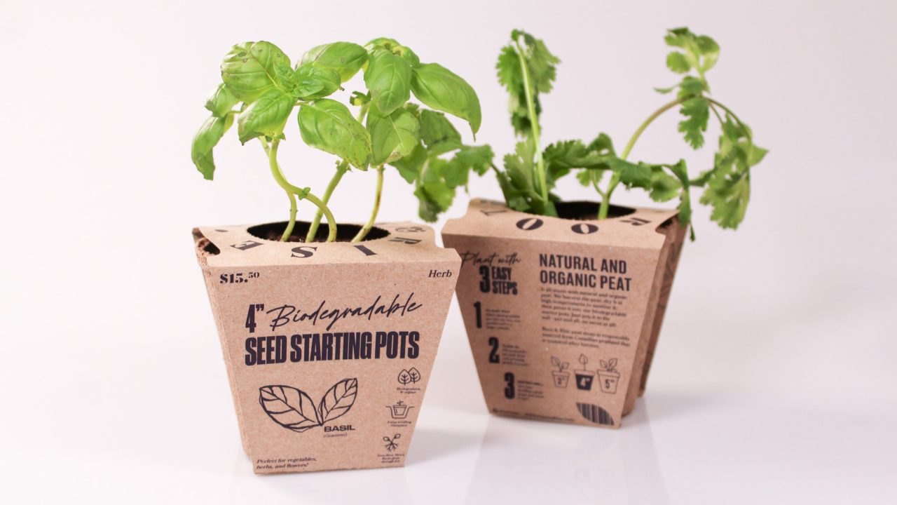Two small biodegradable seed starting pots with herbs growing, labeled with planting instructions and natural, organic peat information on the packaging.