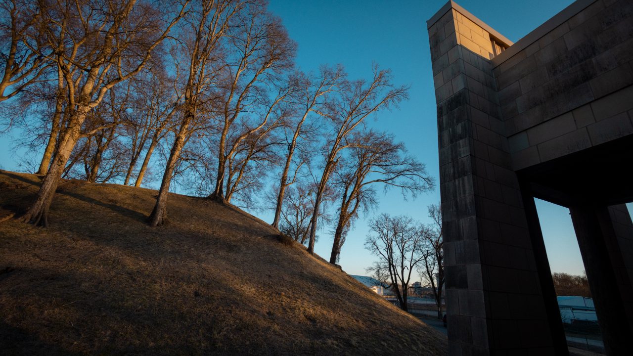 Leafless trees on a sloped hill at sunset, with a modern stone building on the right and a clear blue sky in the background.