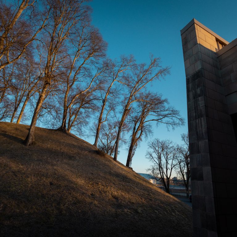 Leafless trees on a sloped hill at sunset, with a modern stone building on the right and a clear blue sky in the background.