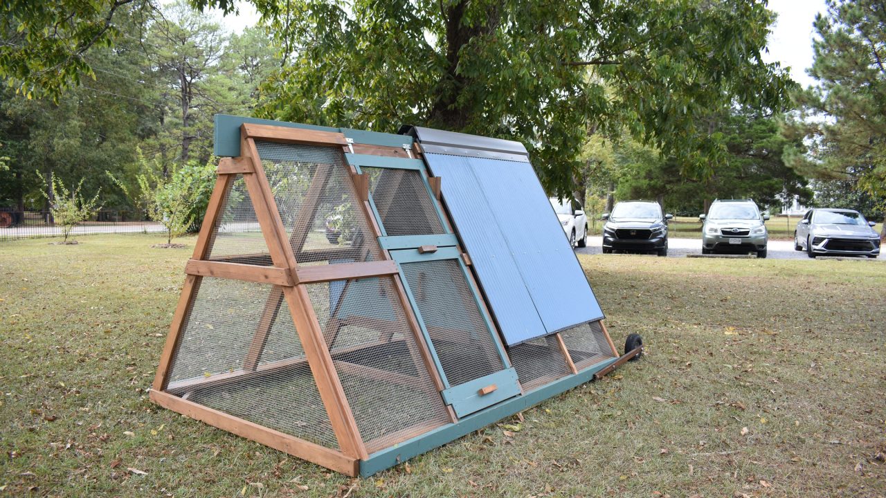 A triangular wooden chicken coop with mesh sides and a blue roof panel sits on grass, with trees and parked cars in the background.