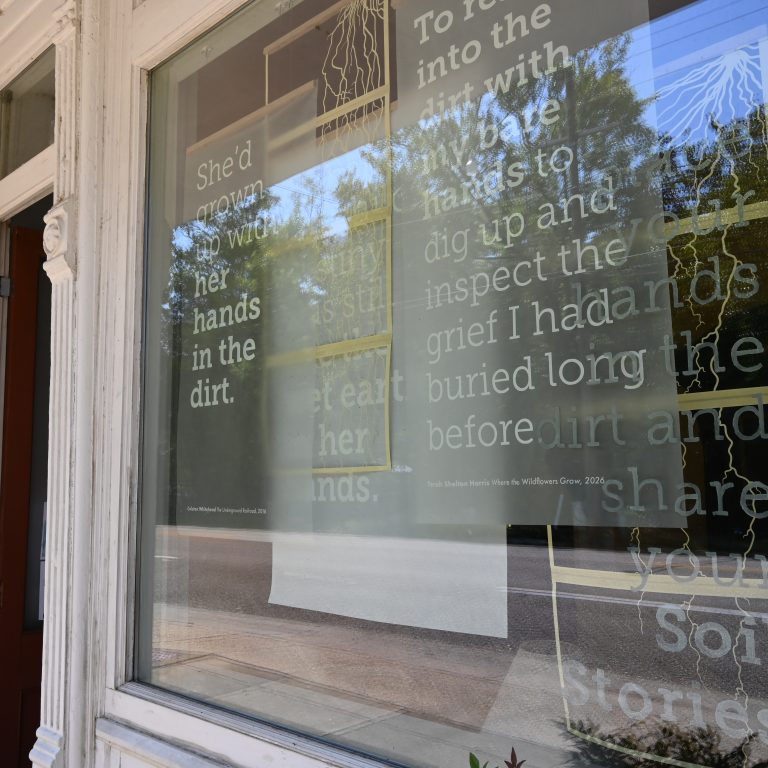 Window display with white text excerpts about hands, dirt, and stories; reflections of trees and street visible on the glass; entrance to a library on the left.